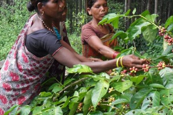 The key to future climate adaptation is to tap past knowledge