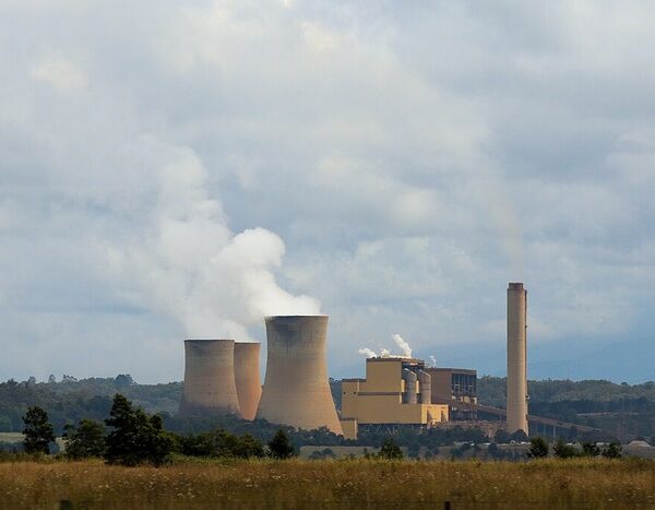 Green court bars power plants from switching to cheaper coal arbitrarily