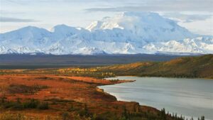 US, Niger weaken endangered species protection for fossil fuel exploration