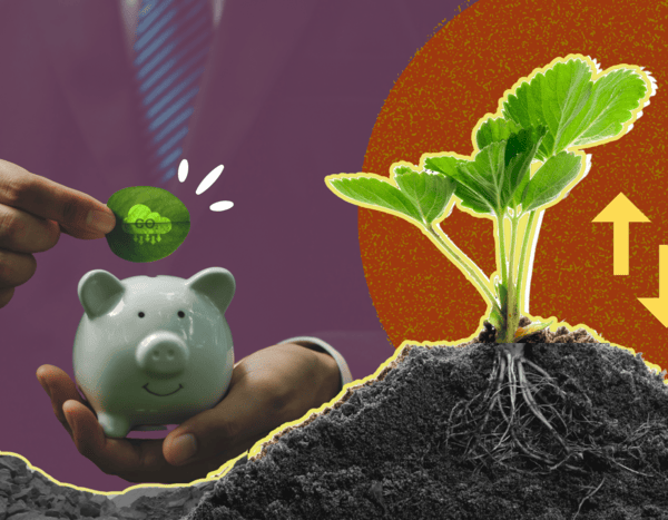 Can biochar be India’s missing link to carbon capture?