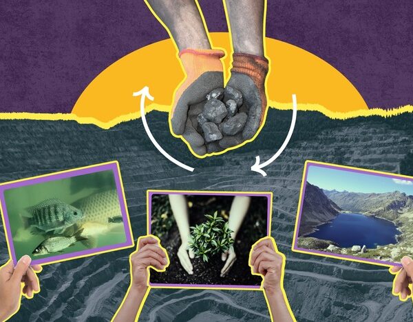 From extraction to regeneration: How India’s coal mines are being reimagined