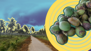 Odisha Shows the Economic Cost of Hidden Climate Losses