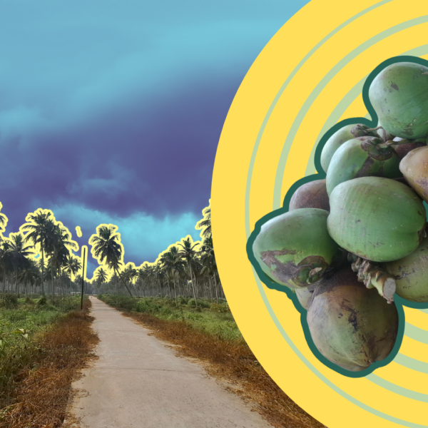 Odisha Shows the Economic Cost of Hidden Climate Losses