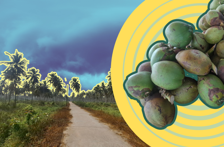 Odisha Shows the Economic Cost of Hidden Climate Losses