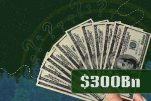 The $300 Billion Question Ahead of COP30