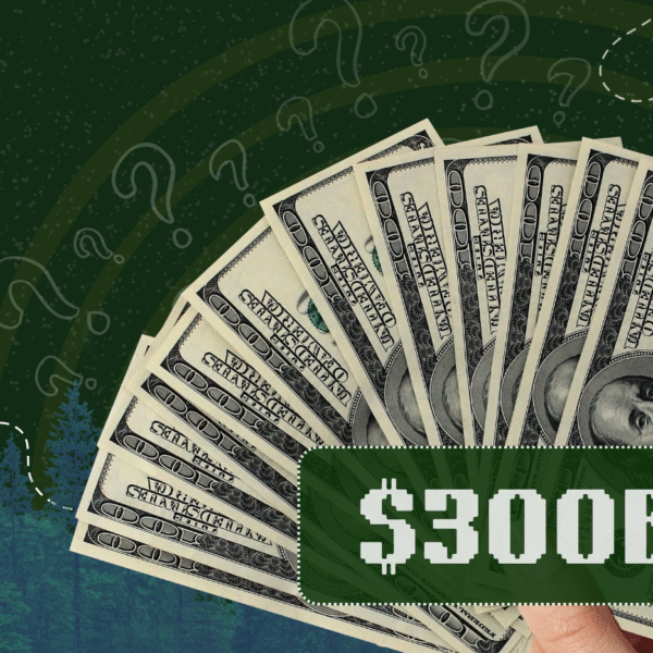 The $300 Billion Question Ahead of COP30