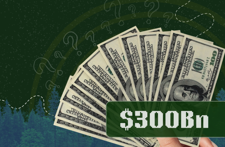 The $300 Billion Question Ahead of COP30