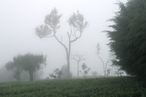 Very heavy rainfall continues in North India, Himachal, J&K and Uttarakhand worst hit