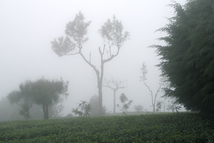Very heavy rainfall continues in North India, Himachal, J&K and Uttarakhand worst hit