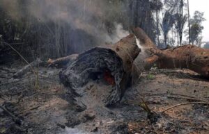 Climate legislation effective in cutting emissions but needs bigger push, says study
