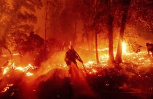 Wildfires continue to blaze through US west coast; California guv calls it ‘climate emergency’