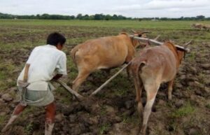 Return on National Monsoon Mission 50-fold: NCAER report