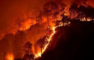 2020 could be second-hottest year on record: WMO