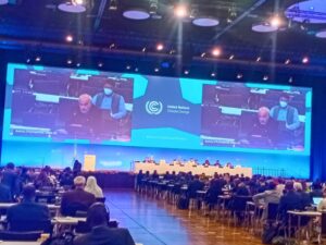Adaptation and mitigation in focus at Bonn Climate Conference, loss and damage dropped