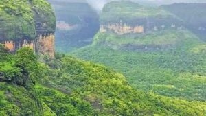 Indian govt pushes for faster green clearances