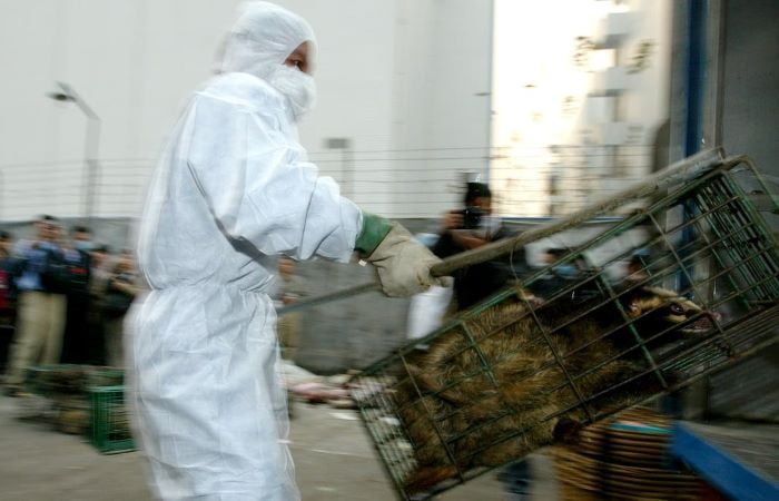 Halting biodiversity loss will save trillions of dollars, avert millions of deaths in responding to future pandemics: IPBES report on pandemics