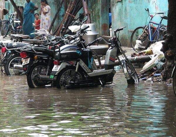 Forecast warns of chances of El Nino onset this year