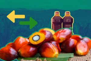 Can green trade barriers save the environment?