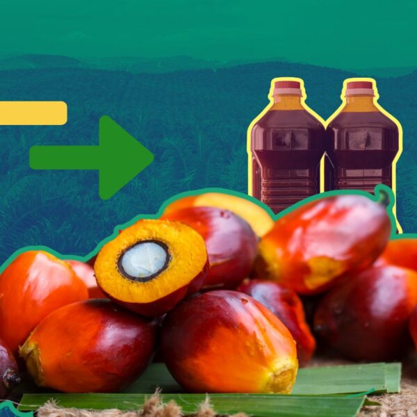 Can green trade barriers save the environment?