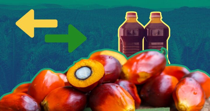 Can green trade barriers save the environment?