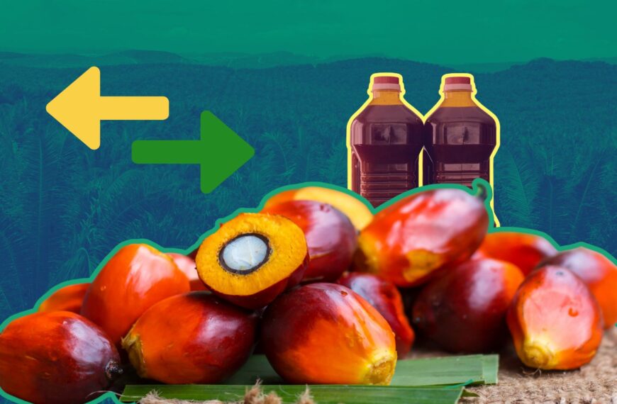 Can green trade barriers save the environment?