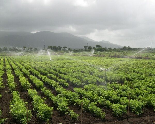 Wealth, education, geography impact water conservation attitudes among farmers: Study