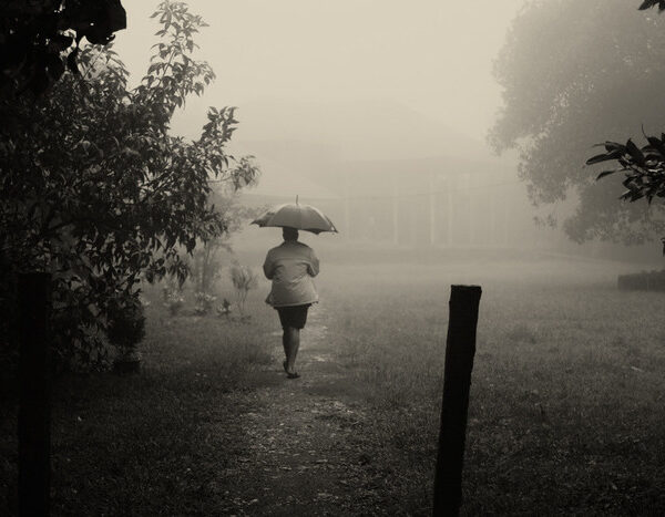 Monsoon covers all of India nine days ahead of normal date