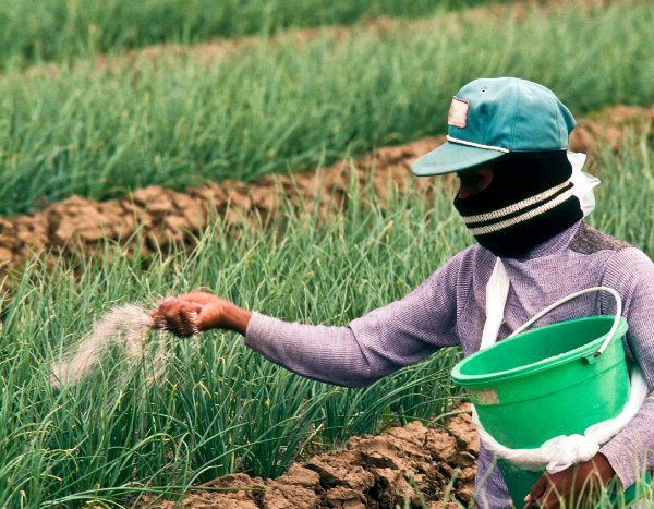 Dual dilemma: Agriculture in India suffering from and contributing to biodiversity loss