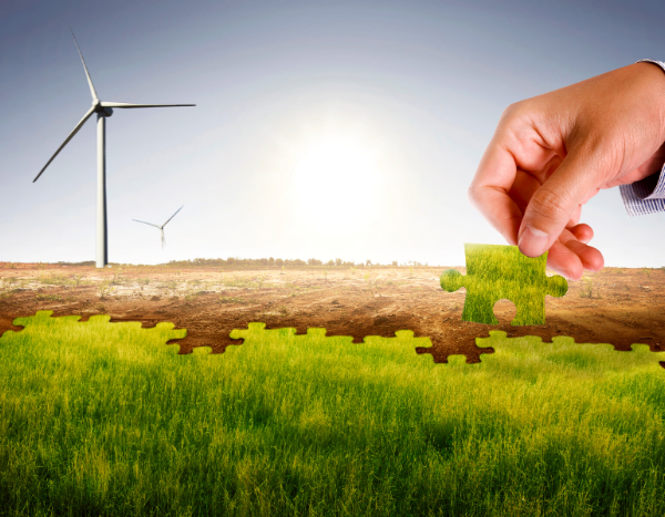 India fetches $1 billion in maiden green bonds sale