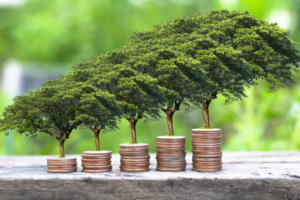 India needs to quadruple its climate finance: Study