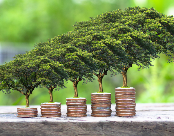 India needs to quadruple its climate finance: Study