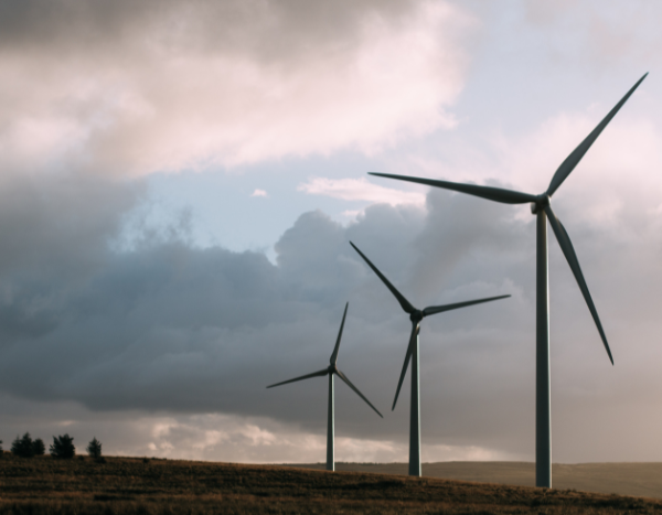 India’s wind energy potential remains untapped, says Parliamentary panel