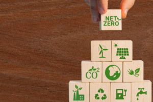 Time to draw a red line around greenwashing: UN expert group on net zero commitments at COP27