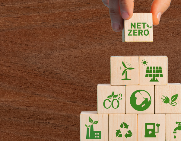 Time to draw a red line around greenwashing: UN expert group on net zero commitments at COP27