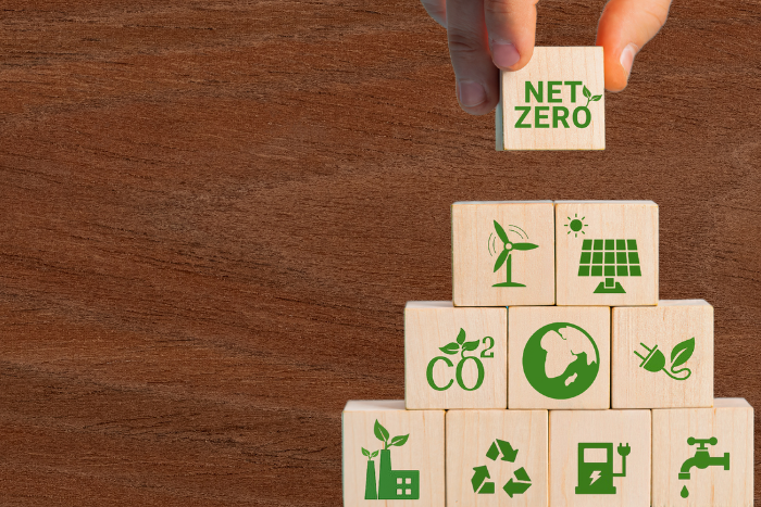 Time to draw a red line around greenwashing: UN expert group on net zero commitments at COP27