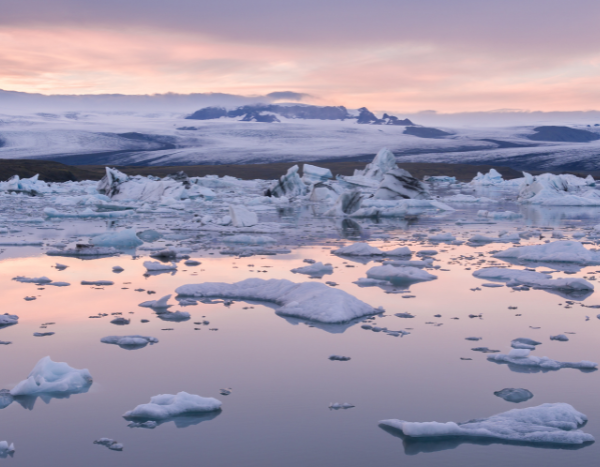 “Terminal diagnosis” for multi-year Arctic sea ice: Report