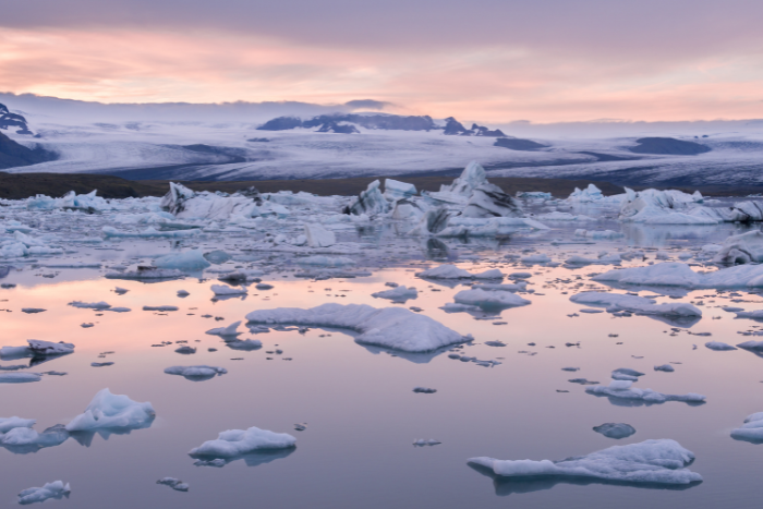 “Terminal diagnosis” for multi-year Arctic sea ice: Report