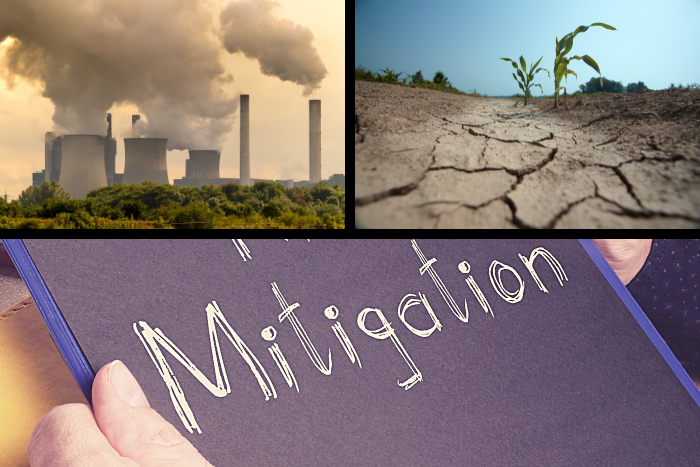 “Our focus at COP27 is developed countries backtracking on their mitigation commitments”