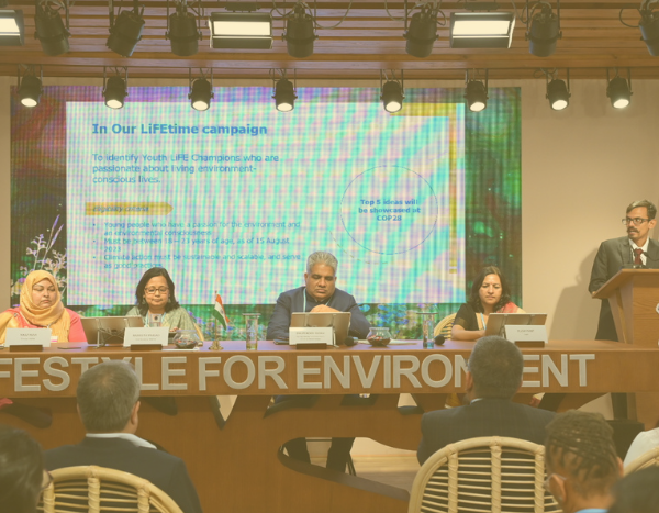 India unveils its long-term net-zero strategy at COP27