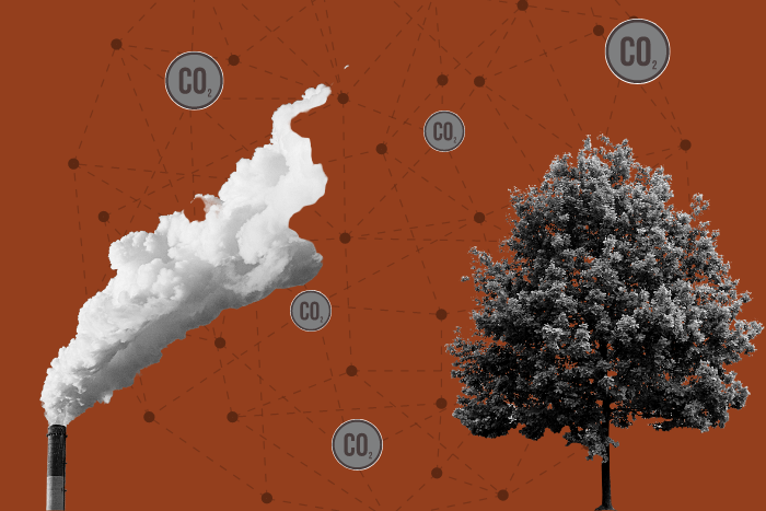 Reduce what you can, offset what you can’t