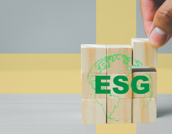 2022: The year ESG took a beating
