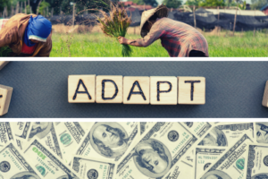 Climate Adaptation: We need novel solutions to protect our safety net for the future