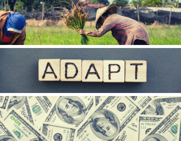 Climate Adaptation: We need novel solutions to protect our safety net for the future