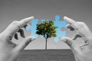 About less than half of required finance available for nature-based solutions: State of Nature Finance 2022
