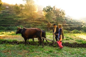 Farmers adapt to climate change even if they don’t believe in it: Study