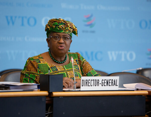 WTO chief warns of climate regulation struggles for emerging markets