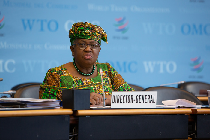 WTO chief warns of climate regulation struggles for emerging markets