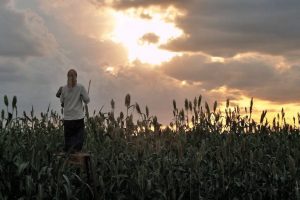 Climate change to worsen agricultural productivity in Maharashtra: Study