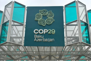 COP29