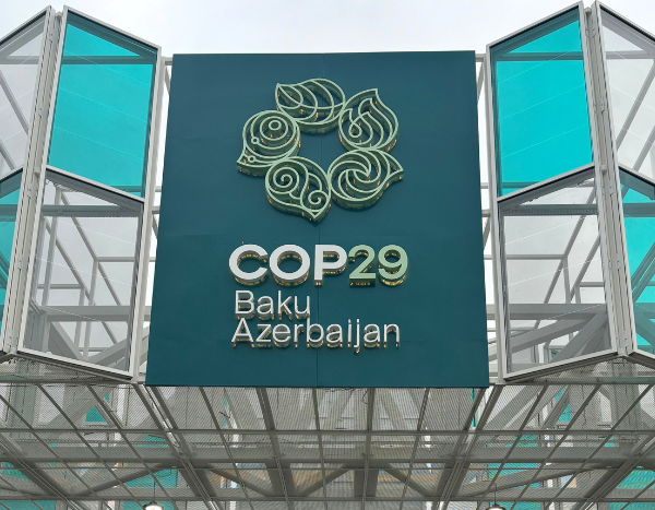 COP29